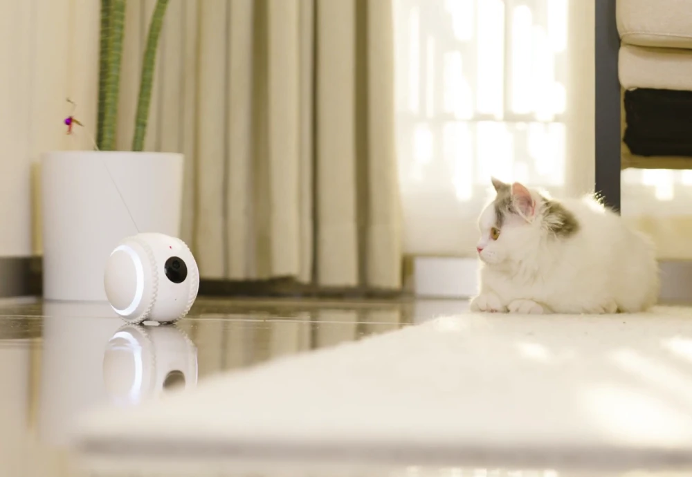 best pet watching camera
